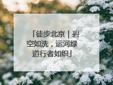徒步北京｜碧空如洗，运河绿道行者如织