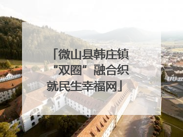 微山县韩庄镇“双圈”融合织就民生幸福网
