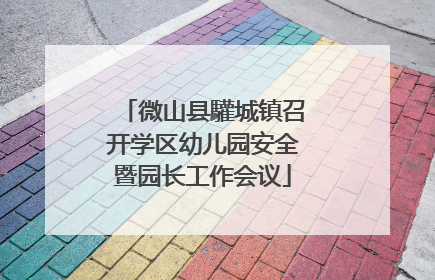 微山县驩城镇召开学区幼儿园安全暨园长工作会议