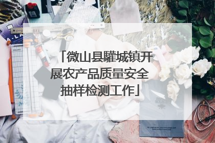 微山县驩城镇开展农产品质量安全抽样检测工作