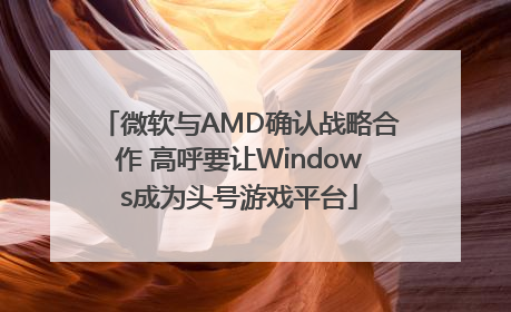 微软与AMD确认战略合作 高呼要让Windows成为头号游戏平台