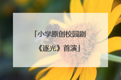 小学原创校园剧《逐光》首演