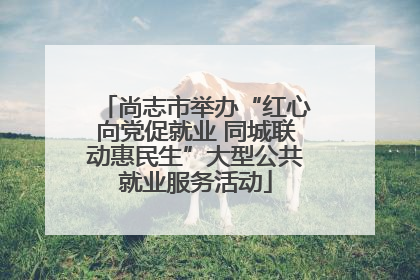 尚志市举办“红心向党促就业 同城联动惠民生”大型公共就业服务活动