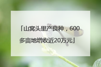 山窝头里产良种，600多亩地增收近20万元