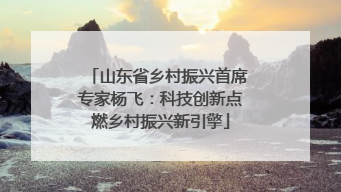 山东省乡村振兴首席专家杨飞：科技创新点燃乡村振兴新引擎