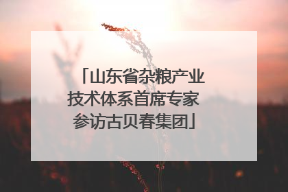 山东省杂粮产业技术体系首席专家参访古贝春集团