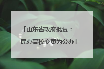 山东省政府批复：一民办高校变更为公办