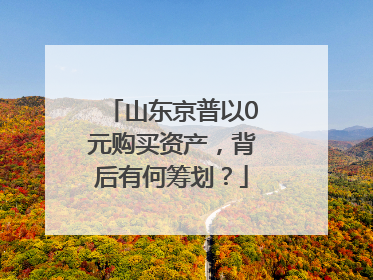 山东京普以0元购买资产，背后有何筹划？