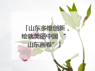 山东多维创新，绘就美丽中国 “山东画卷”