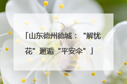 山东德州德城：“解忧花”邂逅“平安伞”