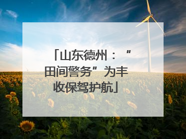 山东德州：“田间警务”为丰收保驾护航