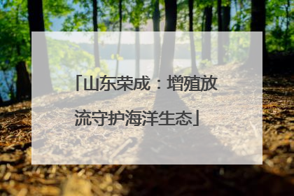 山东荣成：增殖放流守护海洋生态
