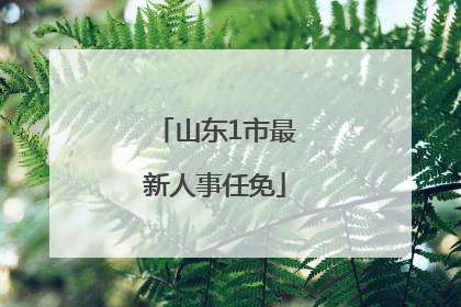 山东1市最新人事任免