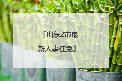 山东2市最新人事任免