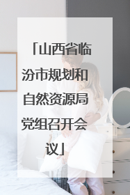 山西省临汾市规划和自然资源局党组召开会议