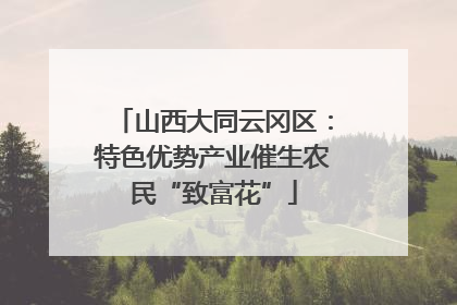 山西大同云冈区：特色优势产业催生农民“致富花”