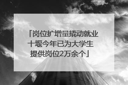 岗位扩增量撬动就业 十堰今年已为大学生提供岗位2万余个