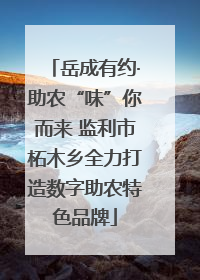 岳成有约·助农“味”你而来 监利市柘木乡全力打造数字助农特色品牌
