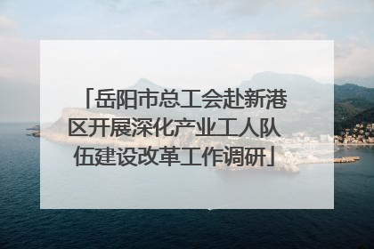 岳阳市总工会赴新港区开展深化产业工人队伍建设改革工作调研
