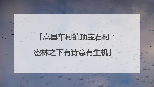 嵩县车村镇顶宝石村：密林之下有诗意有生机