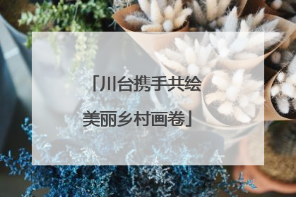 川台携手共绘美丽乡村画卷