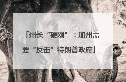 州长“硬刚”：加州需要“反击”特朗普政府