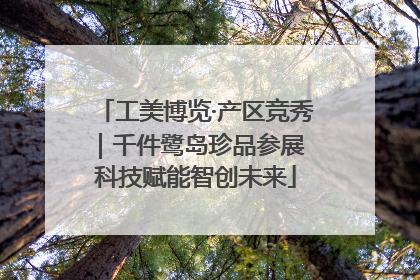 工美博览·产区竞秀｜千件鹭岛珍品参展 科技赋能智创未来