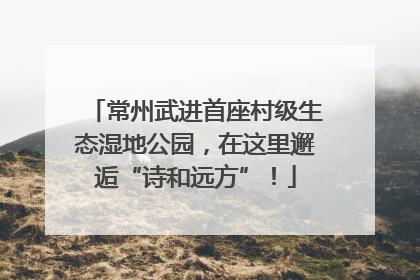 常州武进首座村级生态湿地公园，在这里邂逅“诗和远方”！