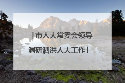 市人大常委会领导调研泗洪人大工作