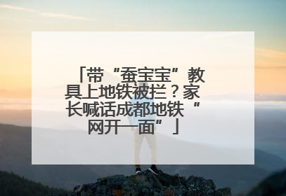 带“蚕宝宝”教具上地铁被拦？家长喊话成都地铁“网开一面”
