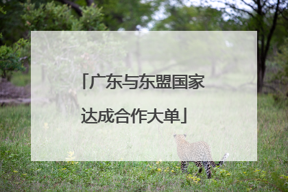 广东与东盟国家达成合作大单
