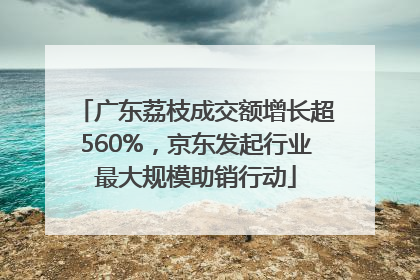 广东荔枝成交额增长超560%，京东发起行业最大规模助销行动