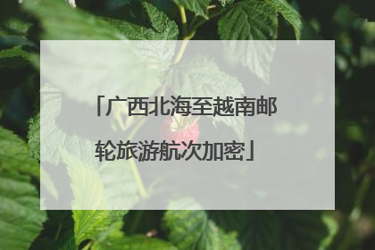 广西北海至越南邮轮旅游航次加密