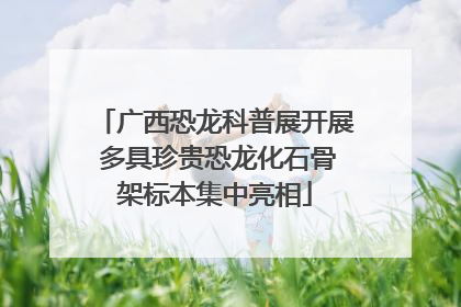 广西恐龙科普展开展 多具珍贵恐龙化石骨架标本集中亮相