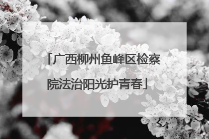 广西柳州鱼峰区检察院法治阳光护青春