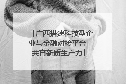 广西搭建科技型企业与金融对接平台 共育新质生产力