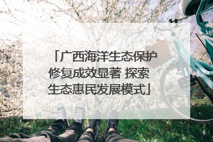 广西海洋生态保护修复成效显著 探索生态惠民发展模式