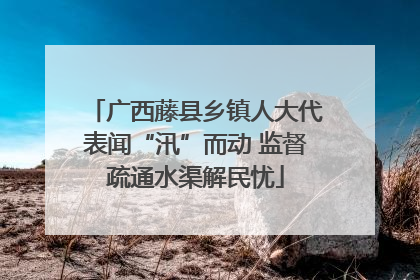 广西藤县乡镇人大代表闻“汛”而动 监督疏通水渠解民忧