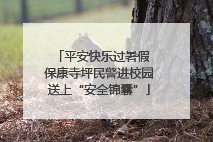 平安快乐过暑假 保康寺坪民警进校园送上“安全锦囊”