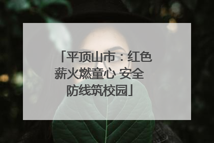 平顶山市：红色薪火燃童心 安全防线筑校园