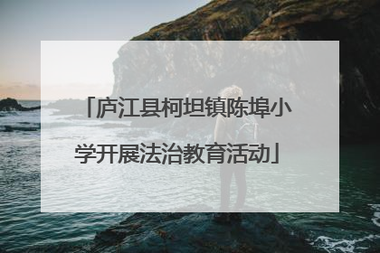 庐江县柯坦镇陈埠小学开展法治教育活动