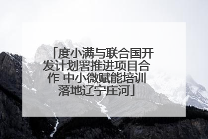 度小满与联合国开发计划署推进项目合作 中小微赋能培训落地辽宁庄河