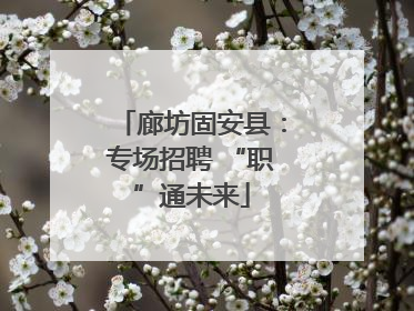 廊坊固安县：专场招聘 “职”通未来