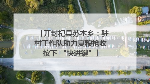 开封杞县苏木乡：驻村工作队助力夏粮抢收按下 “快进键”