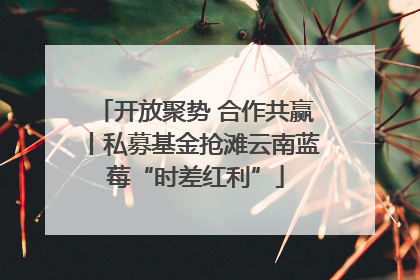 开放聚势 合作共赢丨私募基金抢滩云南蓝莓“时差红利”