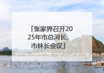张家界召开2025年市总河长、市林长会议