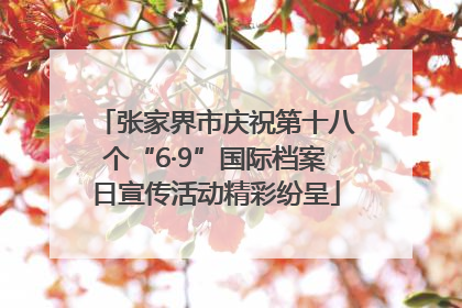 张家界市庆祝第十八个“6·9”国际档案日宣传活动精彩纷呈