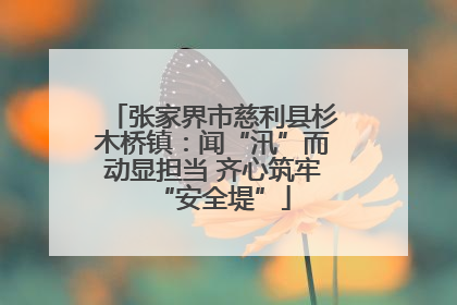 张家界市慈利县杉木桥镇：闻“汛”而动显担当 齐心筑牢“安全堤”