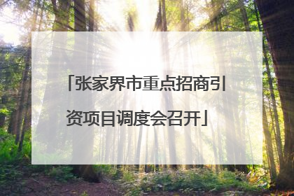 张家界市重点招商引资项目调度会召开