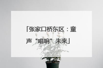 张家口桥东区：童声“唱响”未来